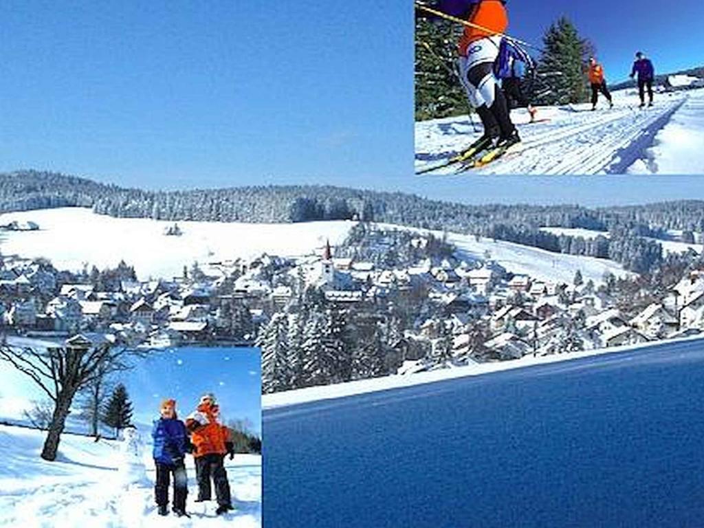Appartmentvermietung Terrassenpark Schonach Schonach im Schwarzwald ภายนอก รูปภาพ